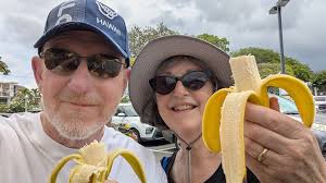 Recommended dentist with great staff