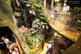 Das haus des meeres zeigt auf über 5000 m² mehr als 10.000 tiere. Haus Des Meeres Beliebtes Ausflugsziel In Wien Fototipps