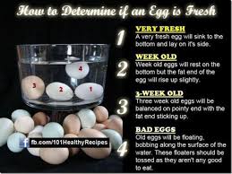 doing my best for him egg freshness chart