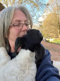 Hello, I'm a big fan of animals too. Here's a summary of your post that  should help others find it more easily