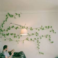 English Ivy Is Best For Indoor Air Purifying Loves The Shade And Will Climb Walls Wall Climbing Plants Indoor Vines Indoor Climbing Plants
