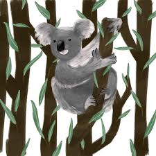 Pin By Moony Maryam On Koala Bear Paintings Koala Craft Koala Bear