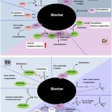 Yuk simak penjelasanya berikut ini dalam kamus lengkap. Pdf Multifunctional Applications Of Biochar Beyond Carbon Storage