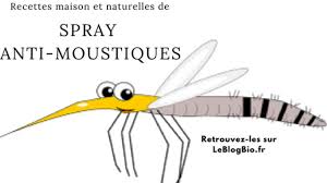 Fabriquez Votre Produit Anti Moustique Naturel Le Blog Bio Zero Dechet Anti Moustique Moustique Anti Moustique Maison