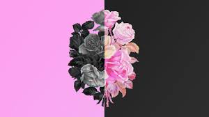 Pink and black flowers images. Gray And Pink Petaled Flowers Illustration Nature Flower Black Rose Hd Wallpaper Wallpaper Flare