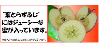 葉とらずりんご 蜜入り 葉とらず 訳ありりんごを青森から産地直送 林檎リンゴりんご屋