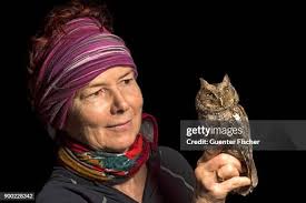 134 White Owl On Black Stock Photos, High-Res Pictures, and Images