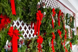 Maybe you would like to learn more about one of these? Christmas Trees Agway Of Cape Cod