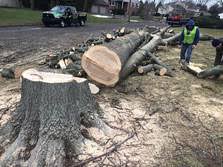 Find free firewood pickup in canada | visit kijiji classifieds to buy, sell, or trade almost anything! Free Firewood Service Get Free Firewood