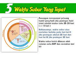 Pada dasarnya, kehamilan memerlukan persenyawaan, iaitu lendir serviks akan mengalami perubahan dalam tekstur dan warna. Boleh Viral Tips Cepat Hamil