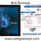 BLS Renewal event in Alpharetta, GA