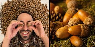 U.S. Botanic Garden created an event.