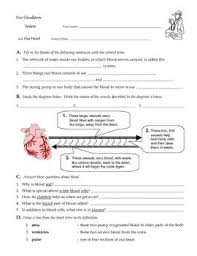 Human Body Systems Worksheets Circ Resp Excretory Digestive Body Systems Human Body Systems Human Body Science