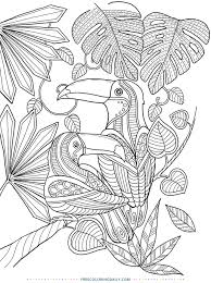 Select from 35915 printable crafts of cartoons, nature, animals, bible and many more. Free Printable Tropical Coloring Free Coloring Daily