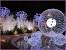 Outdoor Lighted Christmas Decorations