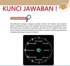 We did not find results for: Kunci Jawaban Tema 9 Kelas 6 Halaman 131 134 135 137 138 139 Subtema 2 Benda Angkasa Luar Dan Rahasianya Pembelajaran 6