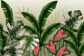 $64.35 rainforest leaves cream grey wallpaper item #: Premium Vector Tropical Leaves And Flowers Mural Wallpaper