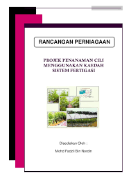 Proforma penyata aliran wang tunai penyata alir wang tunai perlu disediakan untuk 12 bulan bagi tahun pertama perniagaan. 12631262 Contoh Kertas Kerja Rancangan Perniagaan Projek Tanaman Cili