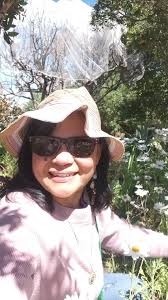 White Daisy flowers blooms in our garden #everyone #fypシ #fbreels #flowers  #goodvibes #highlights