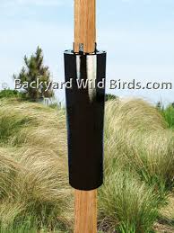 Determine the location for your bird feeder holder. Post Raccoon Baffle At Backyard Wild Birds