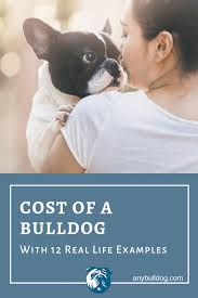Bulldogs were created for the english sport of bull baiting, practiced from approximately 1100 until 1835. Cost Of A Bulldog With 12 Real Life Examples Any Bulldog