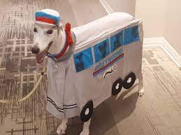 For travel flexibility, you can board or get off a greyhound bus at official greyhound stations, partner stations and curbside stops. The Greyhound Greyhound Bus Costume Album On Imgur