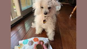 It's main use is for crafting new hives, but can also be used as a decorative block. Dogtime Review Do Yummy Combs Chew Treats Taste Good And Help Your Dog S Dental Health Dogtime