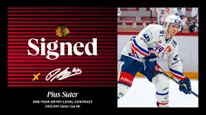Apr 22, 2021 · pius suter and vinnie hinostroza each had a goal and an assist, and malcolm subban made 35 saves. Chicago Blackhawks On Twitter Forward Pius Suter Has Inked A 1 Year Contract 925 000 Salary Cap Hit That Runs Through The 2020 21 Season Last Season Suter Recorded A League Best And Career High 53 Points