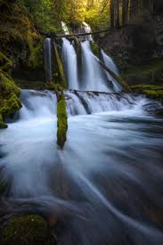 Daily Inspiration: Meet Derek Sturman