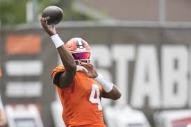 Browns QB Deshaun Watson sits out preseason finale after dealing with sore  arm earlier in week