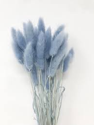 We did not find results for: Blue Flowers 15g Lagurus In Light Blue Dried Flowers Floral Arrangements Blue Flowers Stem Flowers Wedding Decor Home Decor Wedding Flowers Flowers Tn Leading Flowers Magazine Daily Beautiful Flowers For