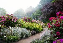 A perennial plant or simply perennial is a plant that lives more than two years. Perennial Flowers The Foundation Of Every Great Garden