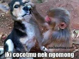 Gambar vektor vespa rider kartun kartun lucu vespa. Darman Otomotif Darmanotomotif Profil Pinterest