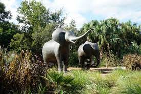 Our Day Out At The Jacksonville Zoo Gardens Carrie On Travel