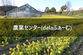 農業センター Delaふぁーむ に関するおでかけ情報 おでかけノート