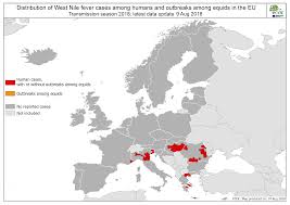 In den tropen sind jedoch die stechmücken/moskitos als biologische überträger diverser viren und der von ihnen ausgelösten erkrankungen bei mensch (und tier) bekannt. Https Ecdc Europa Eu Sites Portal Files Documents Communicable Disease Threats Report 11 Aug 2018 Pdf