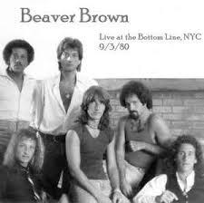 Image result for Brown 1980 Evans Coach Lines