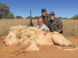 Image result for trophy hunting