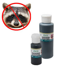 They extend from the edge of the nose to the lower part of the cheek. Wcs Raccoon Eviction Fluid Wildlife Control Supplies Product Code Nws1115