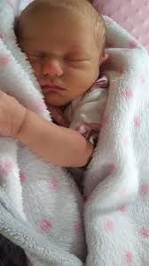 David A. Minnich Obituary