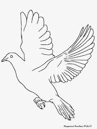 Download gambar sketsa burung garuda pancasila siap diwarnai cara mewarnai gambar sketsa burung garuda pancasila untuk mewarnai sketsa burung garuda cukup mudah dan sederhana bisa diwarnai dengan menggunakan crayon pensil warna atau spidol. Sketsa Burung Garuda Radea