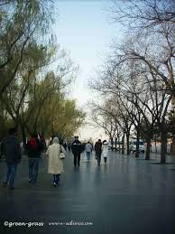 Pagoda di tempat wisata di beijing ini unik karena berdiri miring dan sudah berumur 1.200 tahun. Kenangan Travel Ke Beijing Semasa Musim Sejuk Catatan Travel Sabrina