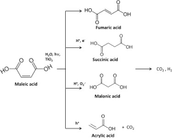 Fumaric Acid Production By Fermentation | Applied Microbiology And  Biotechnology