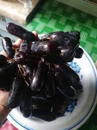 Maybe you would like to learn more about one of these? 63 Gambar Anggur Hitam Panjang Paling Keren Gambar Pixabay