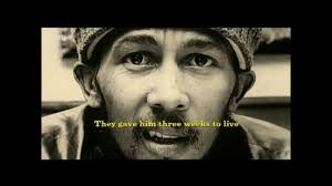 40 years ago, reggae legend Bob Marley jammed Pittsburgh in his final  concert