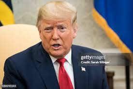 80 photos et images haute résolution de Sarah Marquez