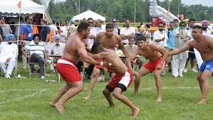 Vig construction has established our position as a construction industry leader by. Canton Based Punjabi Festival Expects To Draw Thousands