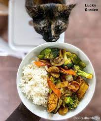 Global Eats In Ypsilanti 9 Hidden Gems To Discover