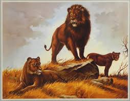 The gift (frequently referred to as simply the gift) is a soundtrack album curated by american singer beyoncé for the 2019 photorealistic animated remake of the lion king and for black is king (2020). Buy King Of The Jungle Poster