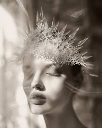 Ann Elliott Cutting Photography